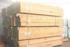 日照市岚山区顺通木业新西兰辐,射松方木，新西兰松，辐射松方木，辐射松板材顺通木业